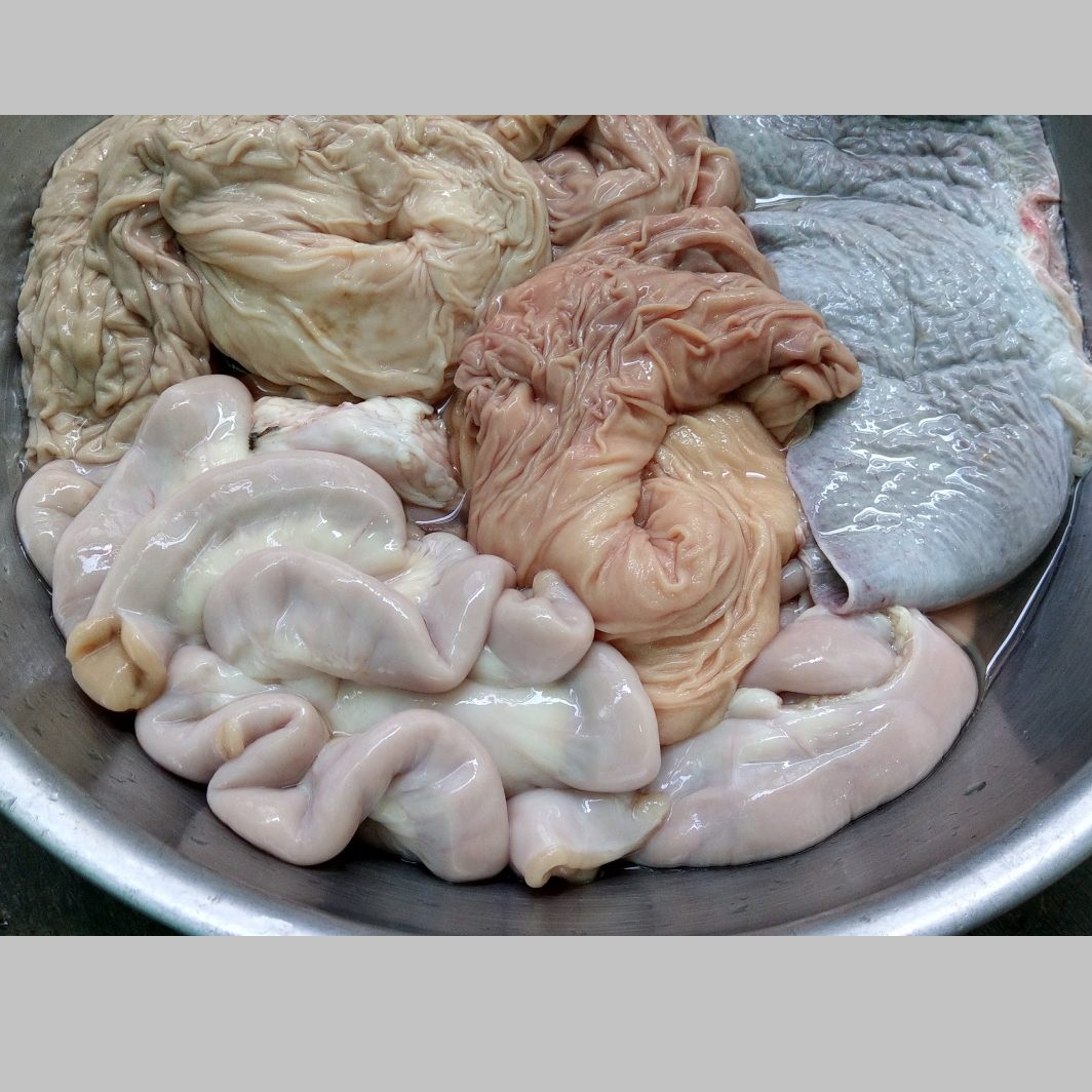 Lòng bò